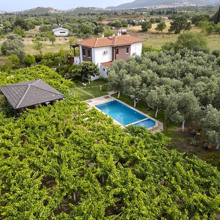 Grape Datca Kızlanköy Exterior foto