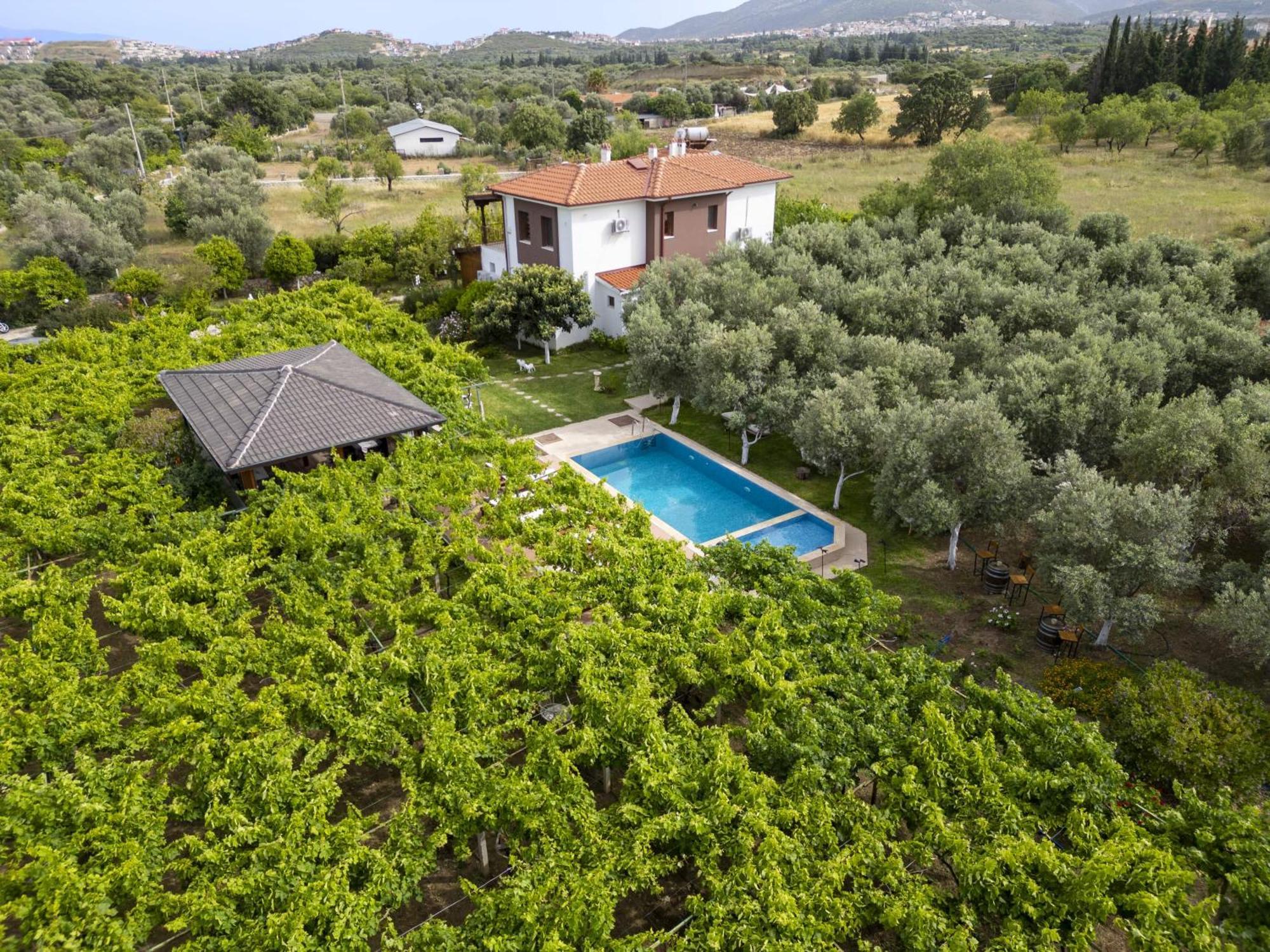 Grape Datca Kızlanköy Exterior foto